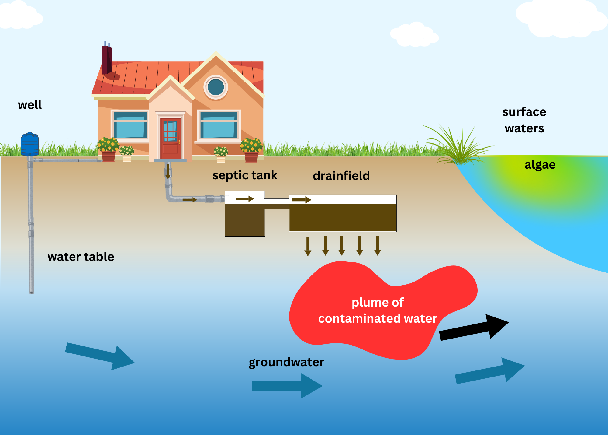 Transport from a septic tank to groundwater and surface water. From house, to septic tank, to dranfield, to leach lines, transport to groundwater, to drinking water, surface water